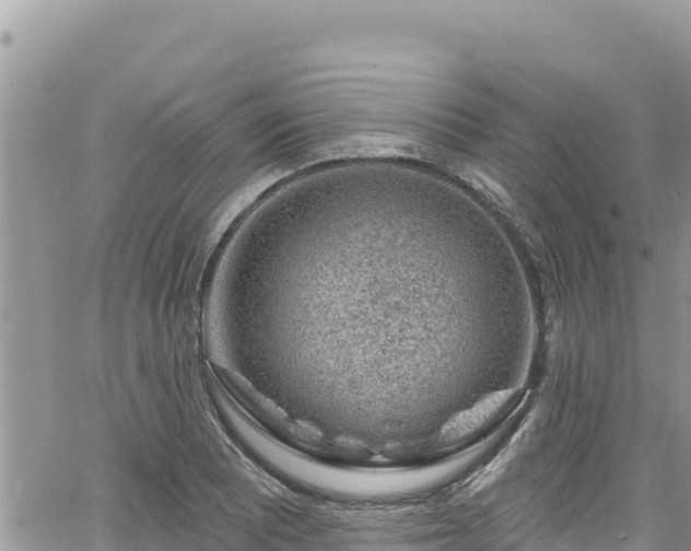 X0000065261081200602211244