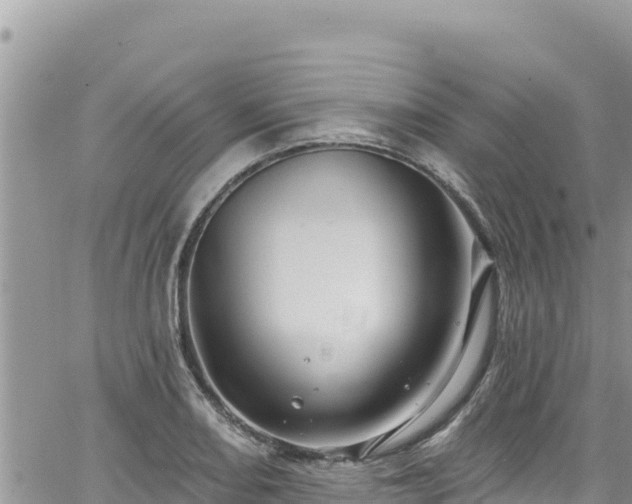 X0000065261082200602211244