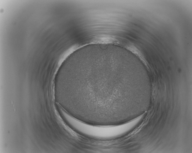 X0000065261083200602211244