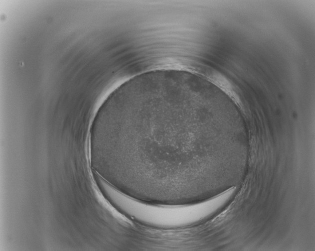 X0000065261084200602211244