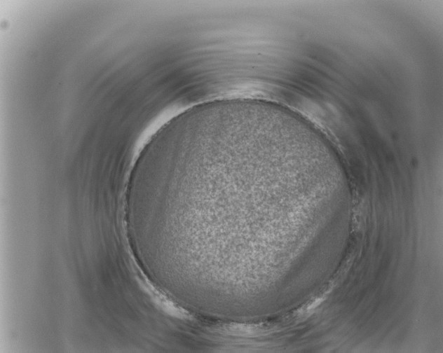 X0000065261086200602211244