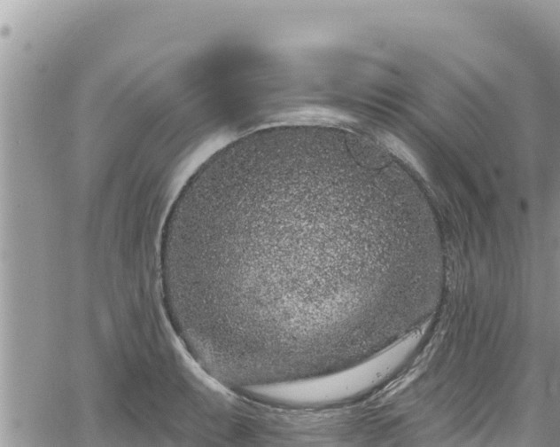 X0000065261087200602211244