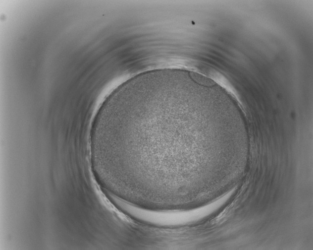 X0000065261088200602211244