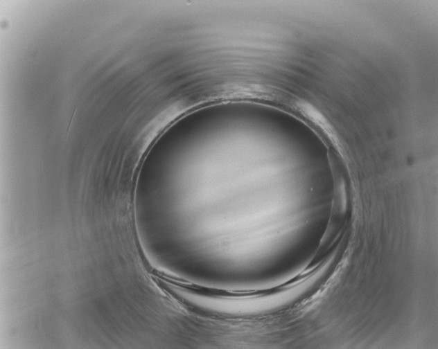 X0000065261089200602211244