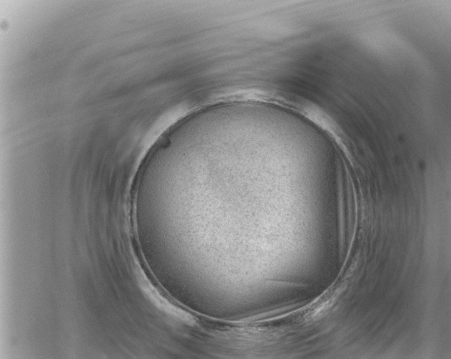 X0000065261090200602211244