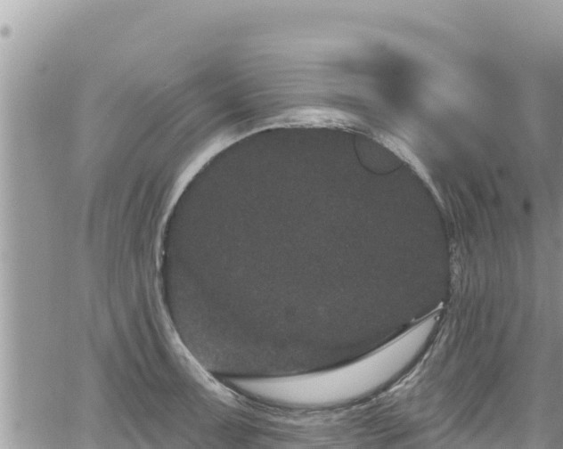 X0000065261091200602211244