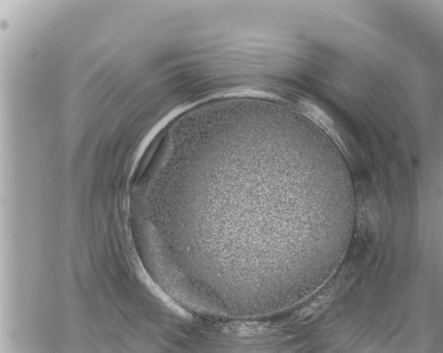 X0000065261092200602211244