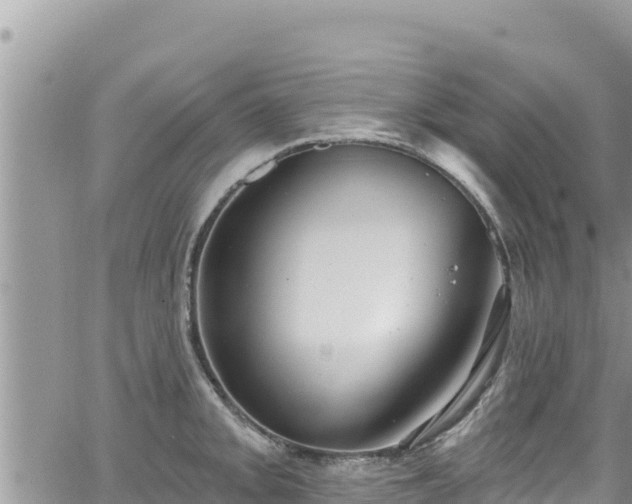 X0000065261093200602211244