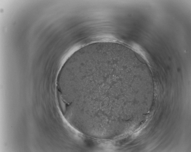 X0000065261095200602211244