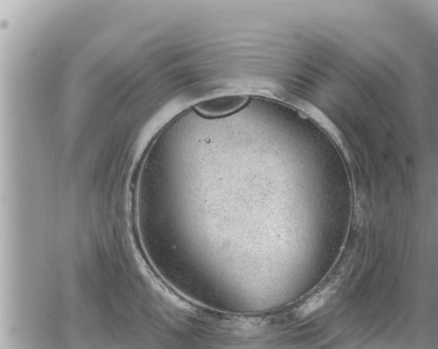 X0000065261096200602211244