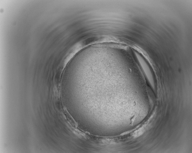 X0000065261097200602211243