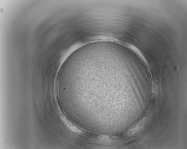 X0000065261098200602211243