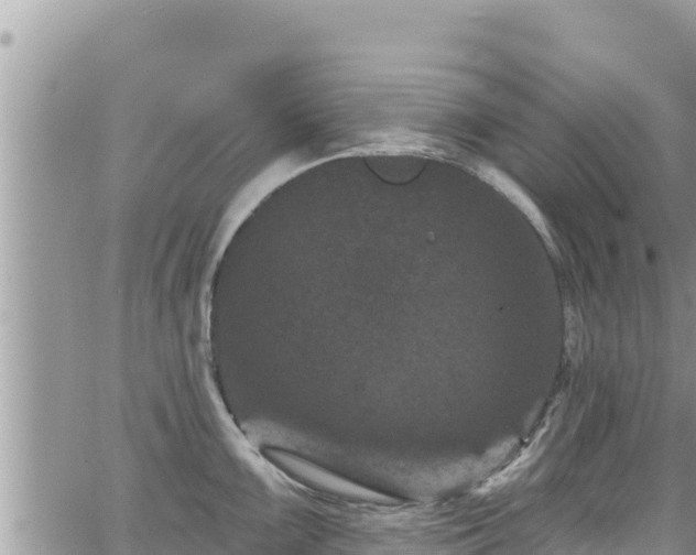 X0000065261099200602211243