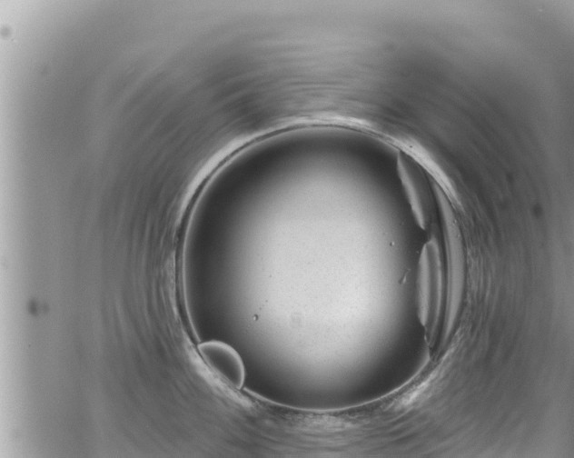 X0000065261100200602211243