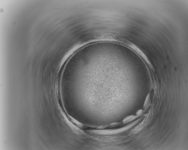 X0000065261101200602211243