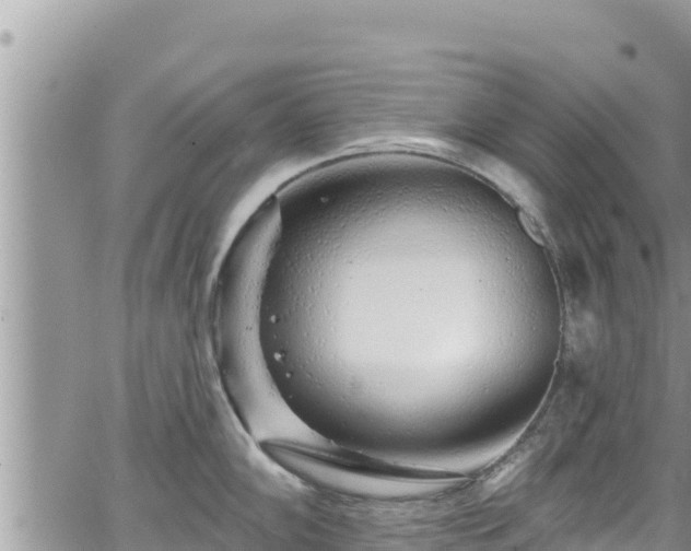 X0000065261102200602211243