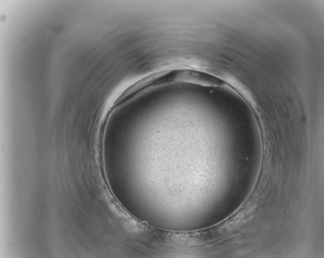 X0000065261104200602211243