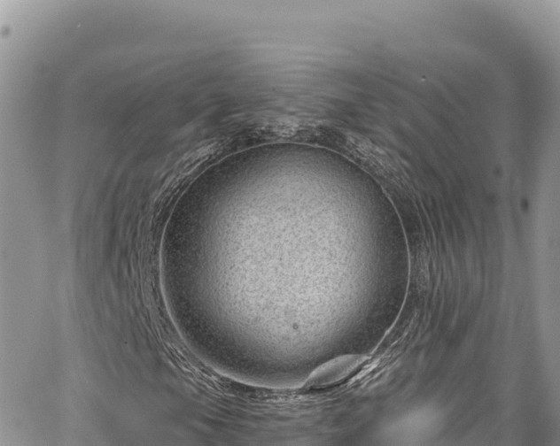 X0000065261105200602211243