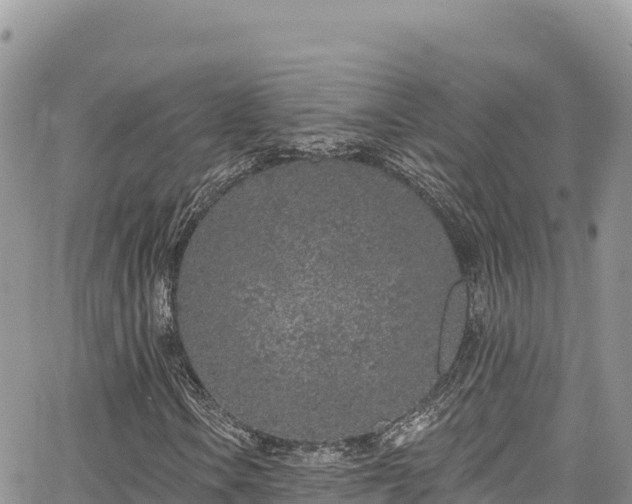 X0000065261106200602211243