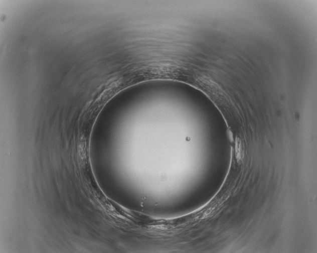 X0000065261107200602211243