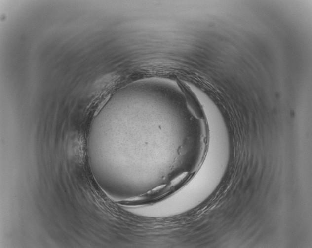 X0000065261108200602211243