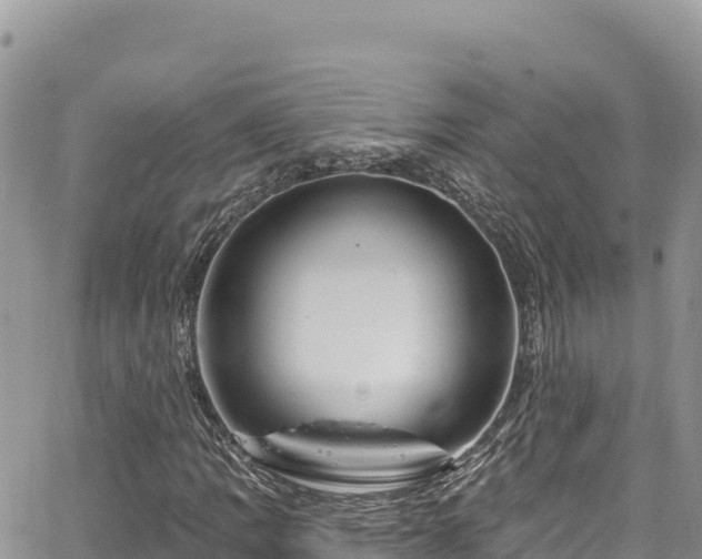 X0000065261109200602211243