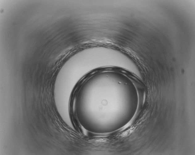 X0000065261110200602211243