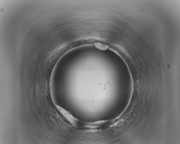 X0000065261111200602211243