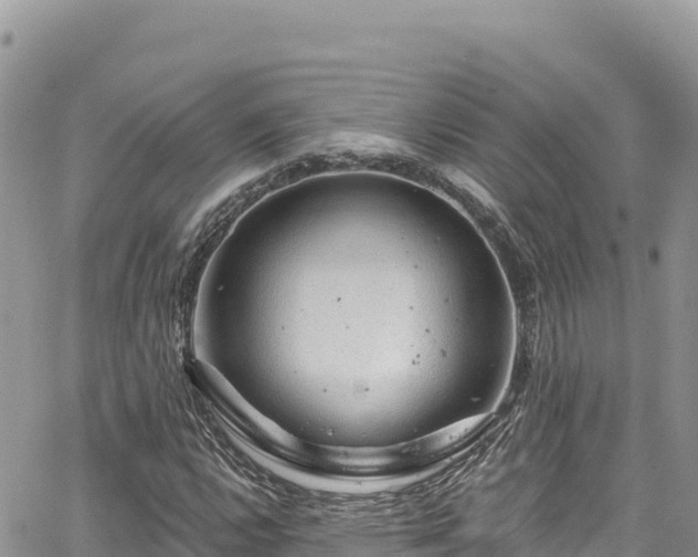 X0000065261112200602211243