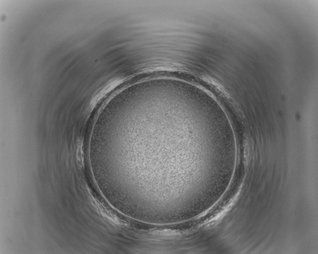 X0000065261113200602211243