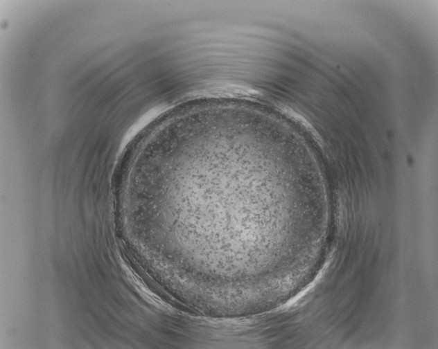 X0000065261114200602211243