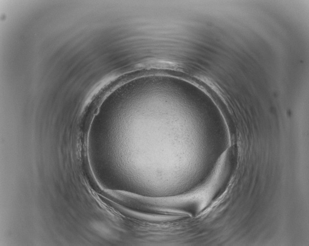 X0000065261115200602211243