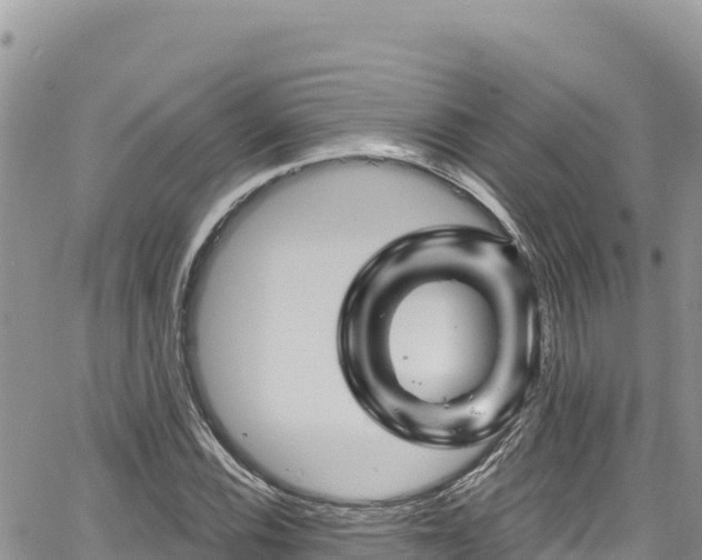 X0000065261116200602211243