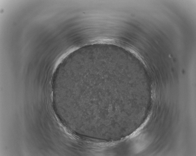 X0000065261117200602211243