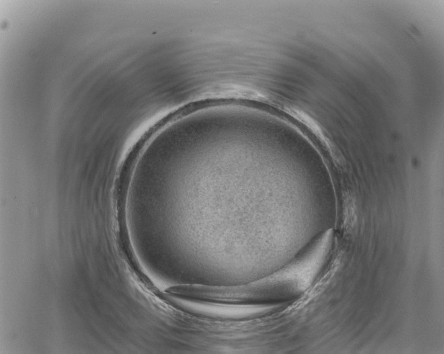 X0000065261120200602211243