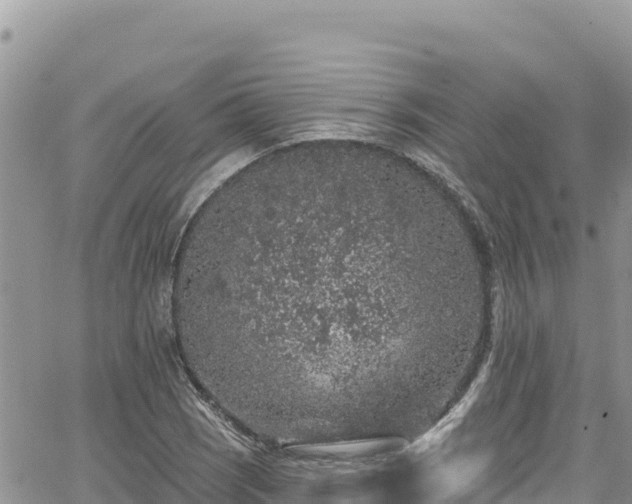 X0000065261121200602211243