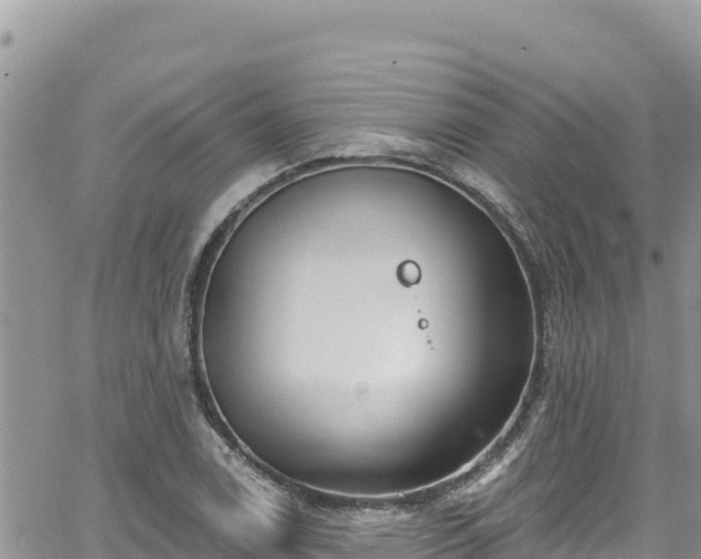 X0000065261122200602211243