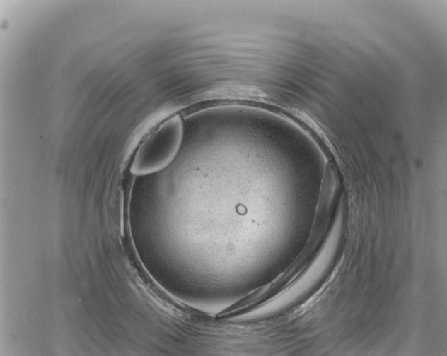 X0000065261123200602211243