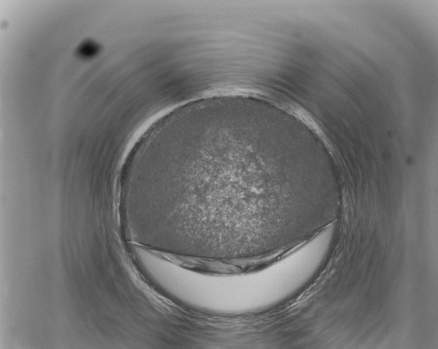 X0000065261124200602211243