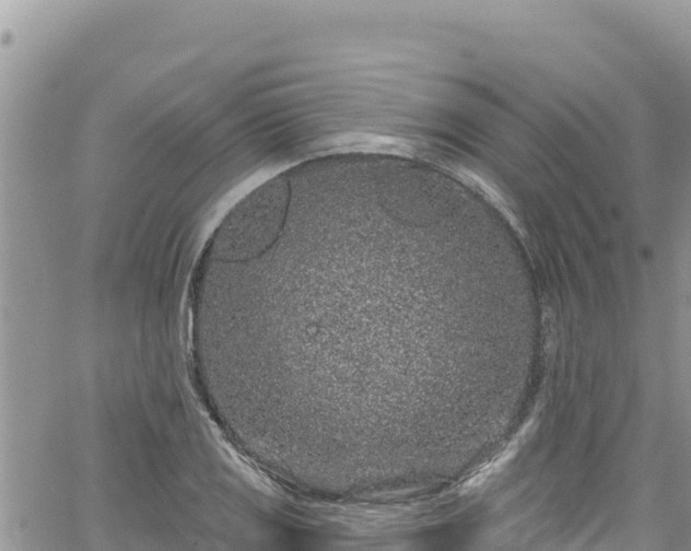 X0000065261125200602211243