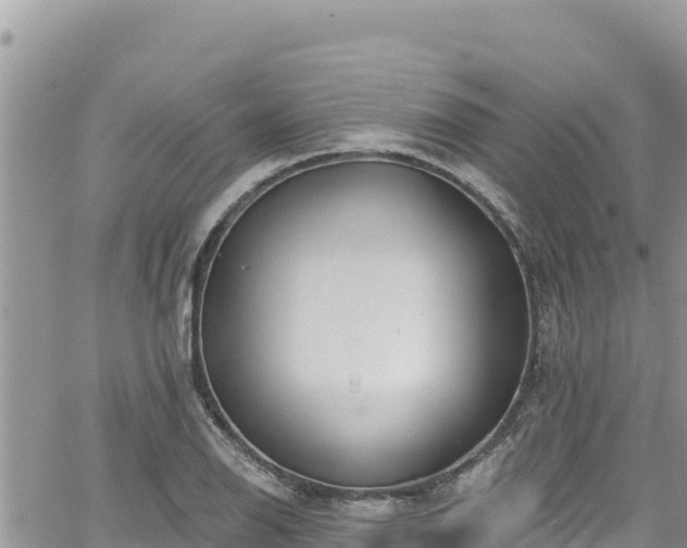 X0000065261126200602211243