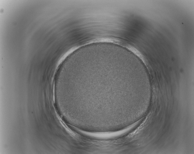 X0000065261127200602211243