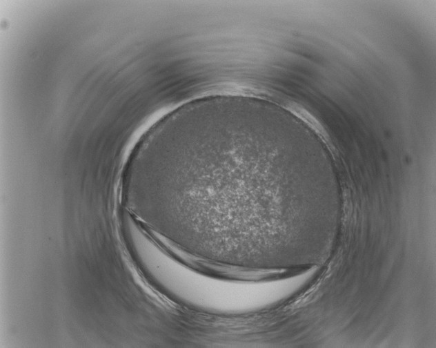 X0000065261128200602211243