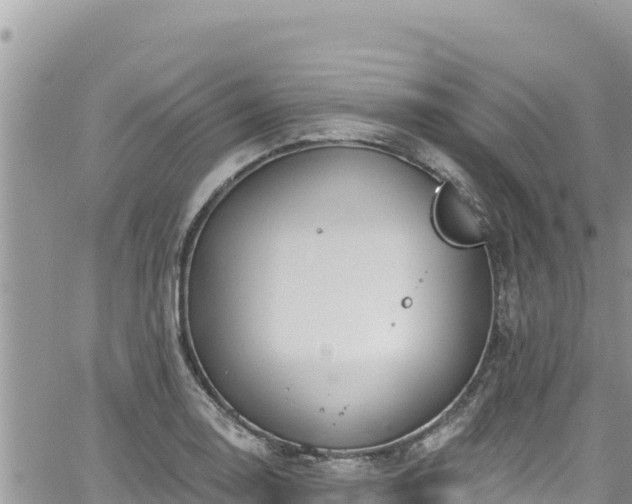 X0000065261130200602211243