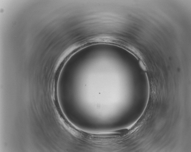 X0000065261131200602211243