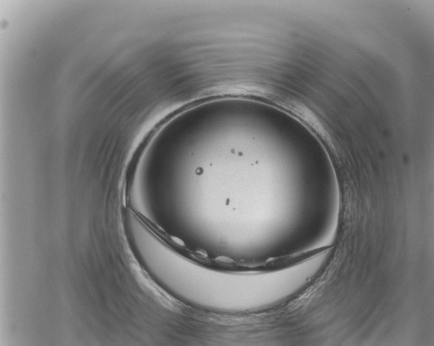 X0000065261132200602211243