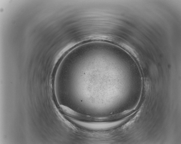 X0000065261133200602211243