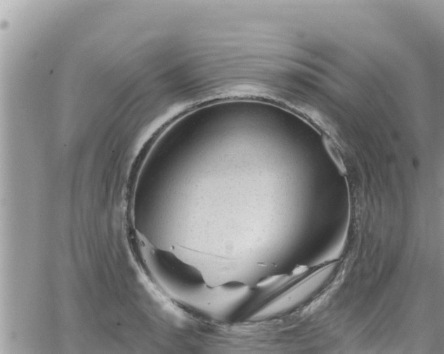 X0000065261134200602211243