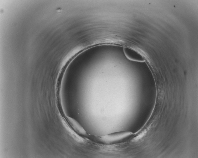 X0000065261135200602211243