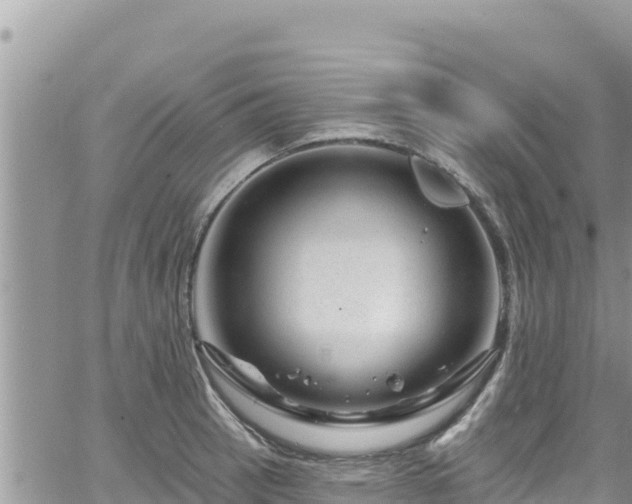 X0000065261137200602211243